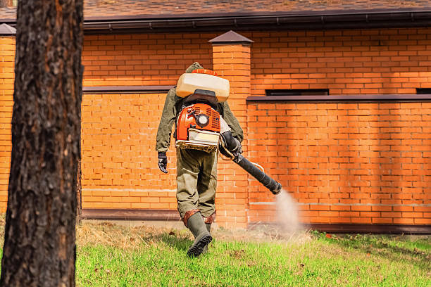 Bed Bug Clearance Verification and Documentation in Miami